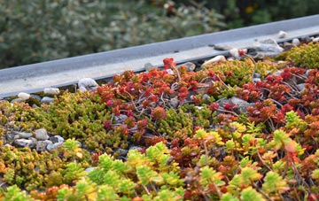 the cost of Dagenham green roof installation