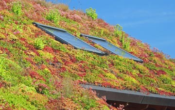 Dagenham living roof systems
