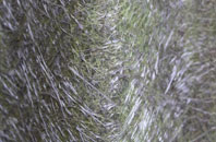 Dagenham fibreglass roof work